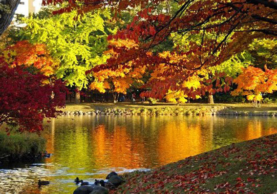 Parc Nakajima